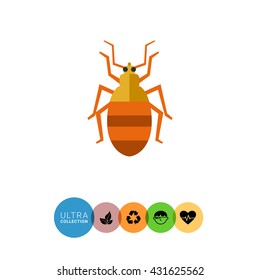 Striped beetle icon