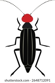 Striped Blister Beetle is a species of beetle in the family Meloidae, the blister beetles. It is known commonly as the striped blister beetle. It is known as an agricultural pest.