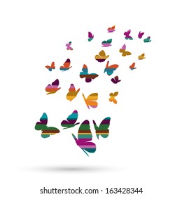 Striped butterflies, vector illustration