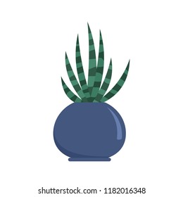 Striped cactus pot icon. Flat illustration of striped cactus pot vector icon for web design