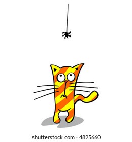 Striped cat and spider