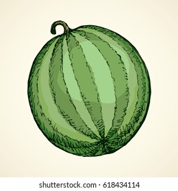 Striped Citrullus lanatus fruitful on white backdrop. Vivid color hand drawn picture logo sketchy in art retro scribble contour style. View closeup with space for text