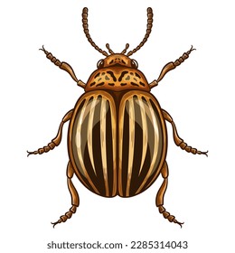 Escarabajo de papa colorada a rayas, insecto Leptinotarsa decemlineata. Control de plagas en plantas de huertas. Bicho amarillo dañino. El parásito que viaja daña los animales y las hojas de patatas agrícolas. Dibujo vectorial vintage