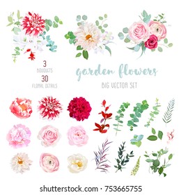 Striped, creamy and burgundy red dahlia, pink ranunculus, rose, peony flowers and decorative plants - eucalyptus, agonis, parvifolia big vector collection. All elements are isolated and editable.