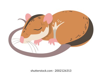 Striped Field Mouse as Small Rodent with Long Tail Cuddling Vector Illustration