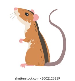 Striped Field Mouse as Small Rodent with Long Tail Standing Vector Illustration