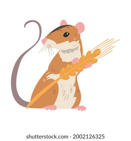 Striped Field Mouse as Small Rodent with Long Tail Holding Spikelet Vector Illustration