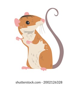 Striped Field Mouse as Small Rodent with Long Tail Standing Vector Illustration