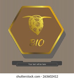Striped gray background depicts a hexagon brown, inside of which depicts the head of a bee with the word BIO