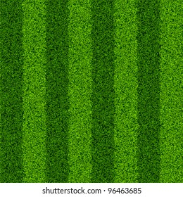 Striped green grass field. Seamless vector.