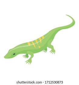 Striped green lizard icon. Isometric of striped green lizard vector icon for web design isolated on white background