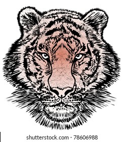 Striped head of a red tiger with a predatory gaze. Illustrator 8.