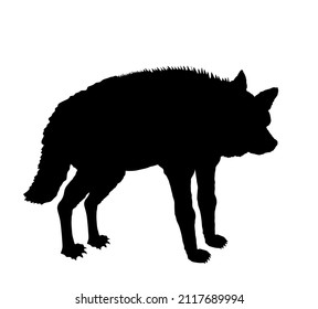 Striped hyena vector silhouette illustration isolated on white background. Africa wild animal. Scary predator safari wildlife member. Brutal carnivore with powerful jaws. Hyena shape shadow symbol.