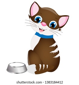 striped kitten with blue eyes and bowl on white background