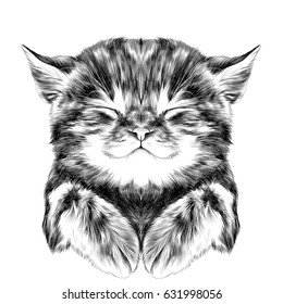 striped kitten sleeping and folded legs muzzle  sketch vector graphics black   white drawing