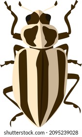 Streifenkäfer, Illustration, Vektorgrafik auf weißem Hintergrund.