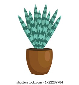 Striped leaf succulent cactus pot icon. Cartoon of striped leaf succulent cactus pot vector icon for web design isolated on white background