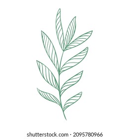 Striped leafy greenery branch isolated vector illustration. Simple outline drawing of a botanical branch. Natural decoration for postcards