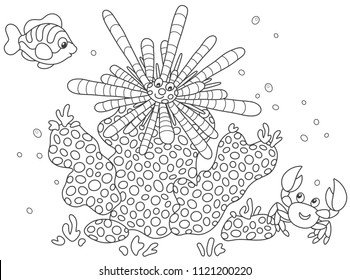 Striped long-spine sea urchin, a funny small crab and a tropical fish among corals, black and white vector illustration in a cartoon style for a coloring book