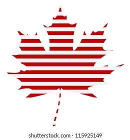 Striped maple leaf on a white background. EPS10 vector illustration.