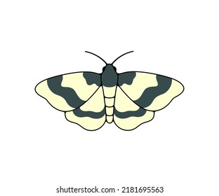 Striped nocturnal moth, butterfly and moth, logo design. Flying insects, nature, entomology and entomological, vector design and illustration