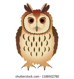 Striped Owl or Asio clamator
