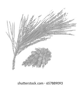 Striped Pine Branch or Twig in Engraving Style on White Background. Stylish Vector Illustration