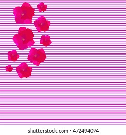 Striped pink seamless pattern on the white background. Perfect texture with horizontal thin line and realistic bindweed flowers for cover, wall paper, textile and interior design. Vector illustration.