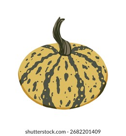 Striped pumpkin vector illustration. Autumn seasonal vegetable for Halloween and Thanksgiving decoration. Flat illustration isolated on white background