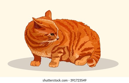 Striped red cat sits fluffed tail. Menacing pose. Dissatisfied pet wags his tail. Realistic vector illustration.