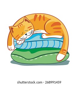 Striped red cat sleeps on pillows