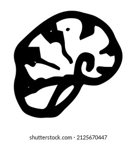 striped seashell icon. a doodle-style shell, side view, round spiral shape with stripes and an isolated black outline on white for a summer design template