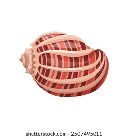 Striped seashell vector art with detailed patterns and vibrant colors.