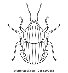 Bicho de escudo rayado - Ilustración vectorial dibujada a mano en blanco y negro.