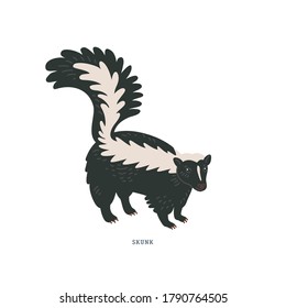 Striped skunk. Common skunk or Mephitis mephitis - North American animal with white markings along the back and tail, and scent glands to ward off predators. Simple Colorful vector illustration in