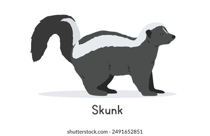 Striped skunk vector illustration, cartoon clipart character, animal in flat style. Wild animals, wild creatures, wildlife concept. Cute skunk vector design isolated on white background