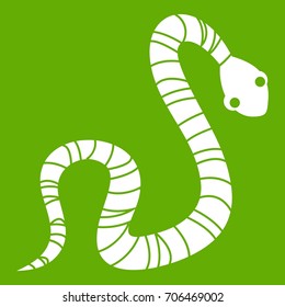 Striped snake icon white isolated on green background. Vector illustration