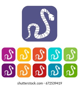 Striped snake icons set vector illustration in flat style In colors red, blue, green and other