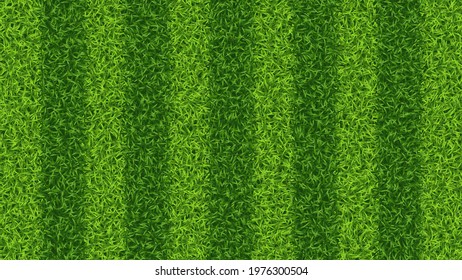 Striped soccer football grass field vector texture. Green grass pattern for sport background