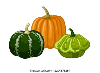 Striped spotted pumpkins, gourds and squash of different shape and colors. Hand drawn vector illustration for postcard, invitation, banner.