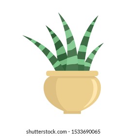 Striped succulent icon. Flat illustration of striped succulent vector icon for web design