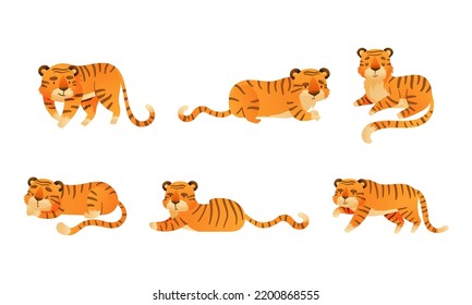 Strickter Tiger mit Orange Shaggy Fur Lying, Sleeping and Walking Vectorset