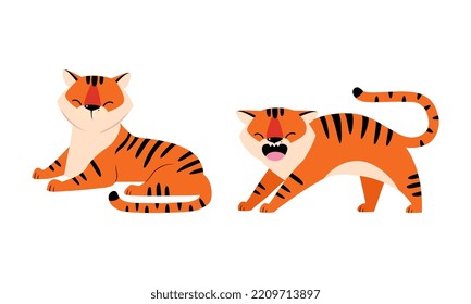 Striped Tiger with Orange Fur Sitting and Humping Vector Set