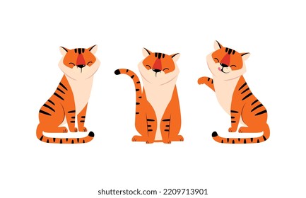 Striped Tiger with Orange Fur Sitting and Licking Vector Set