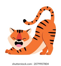 Striped Tiger with Orange Fur Stretching and Roaring Vector Illustration