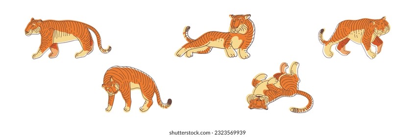 Striped Tiger with Orange-brown Fur as Wild Cat Species in Different Pose Vector Set