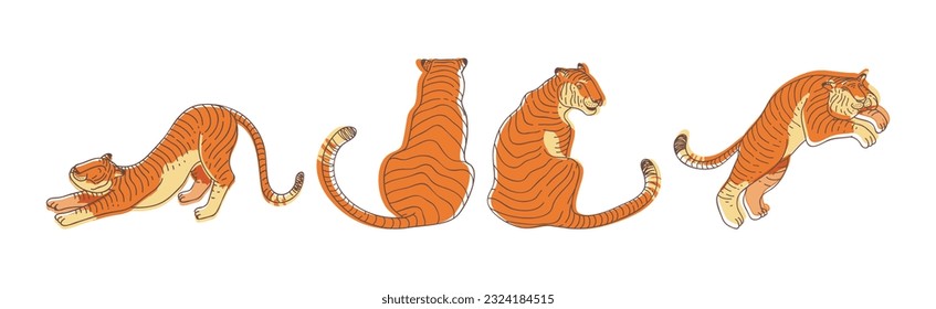 Striped Tiger with Orange-brown Fur as Wild Cat Species in Different Pose Vector Set