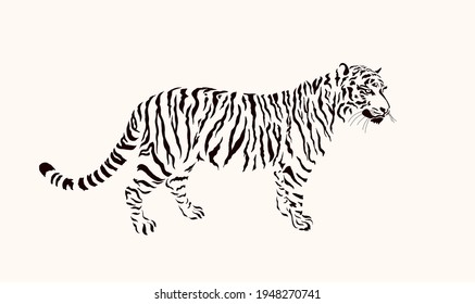 Striped tiger. Portrait of predatory wildcat. Stylized symbol of Chinese 2022 New Year. Wildlife and fauna dwellers. Vector illustration. Isolated on white background.