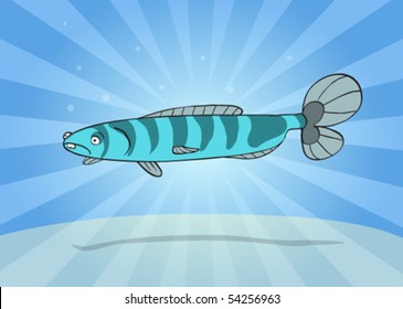 striped toothy fish