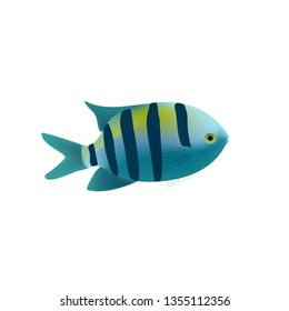 Striped tropical fish isolated. Realistic fish coral reef, exotic underwater animal. Summer sea diving, travel and recreation design, design of the marine and aquarium world. vector 